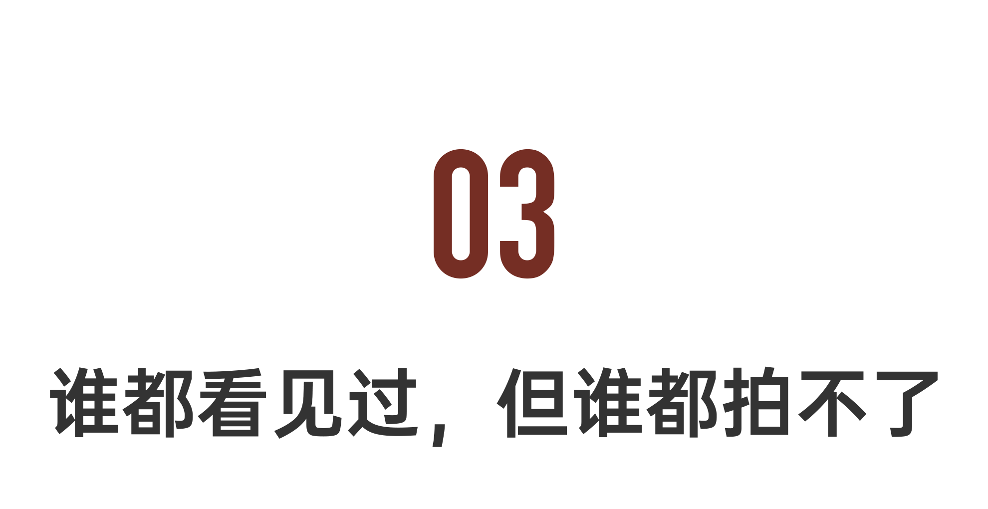 IMG_6646.PNG