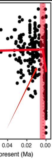 IMG_4554.PNG