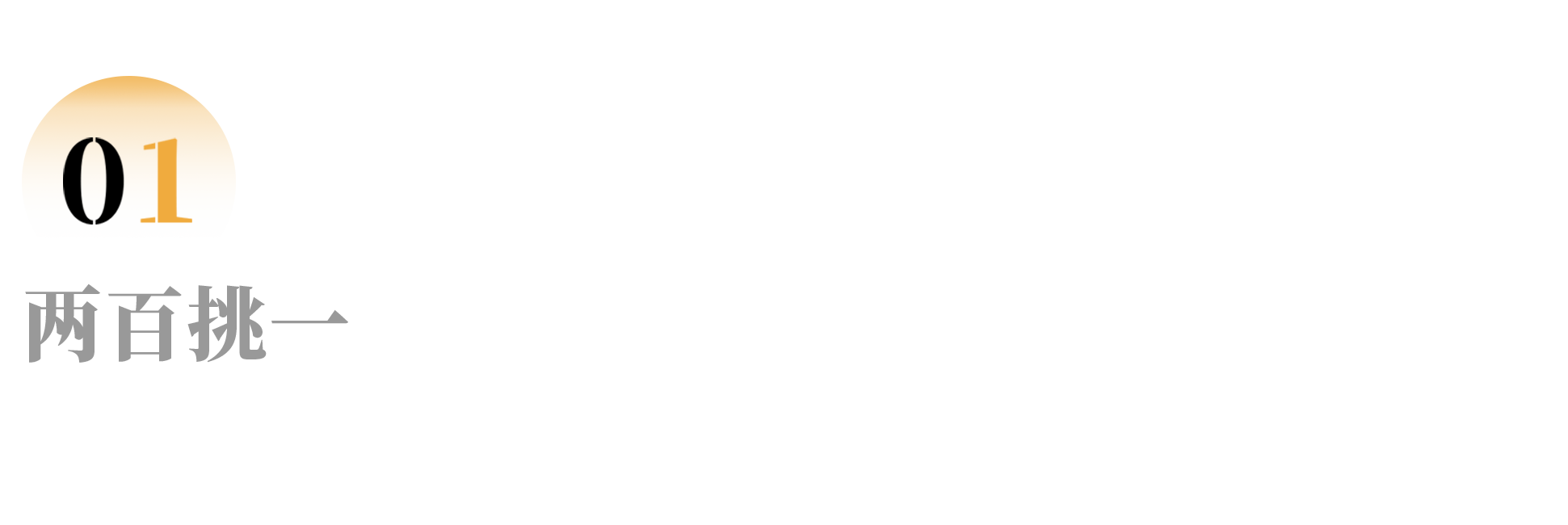 IMG_8395.PNG