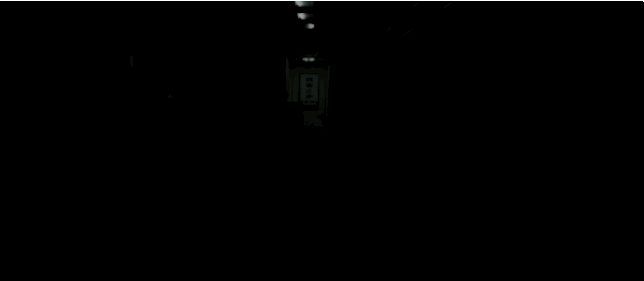 IMG_8348.GIF