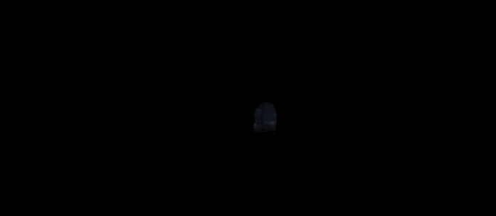 IMG_8350.GIF