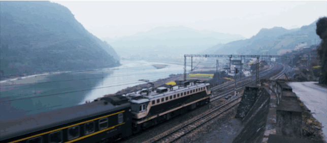 IMG_8384.GIF