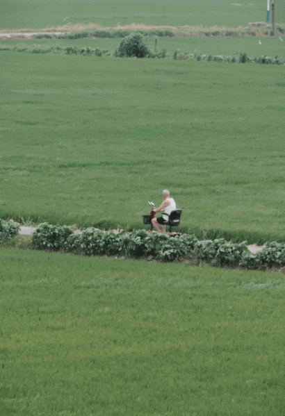 IMG_9034.GIF