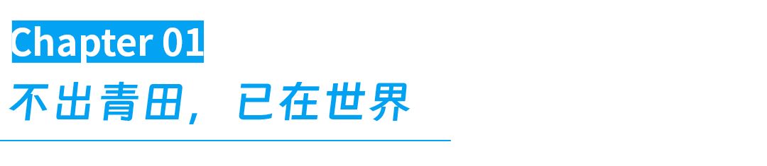 IMG_0161.PNG