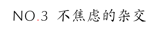 IMG_0183.PNG