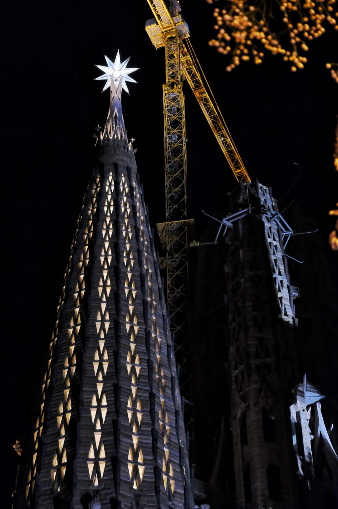 IMG_0500.PNG