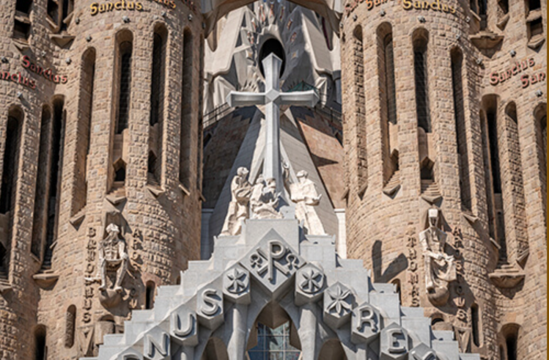 IMG_0508.PNG