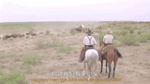 IMG_1154.GIF