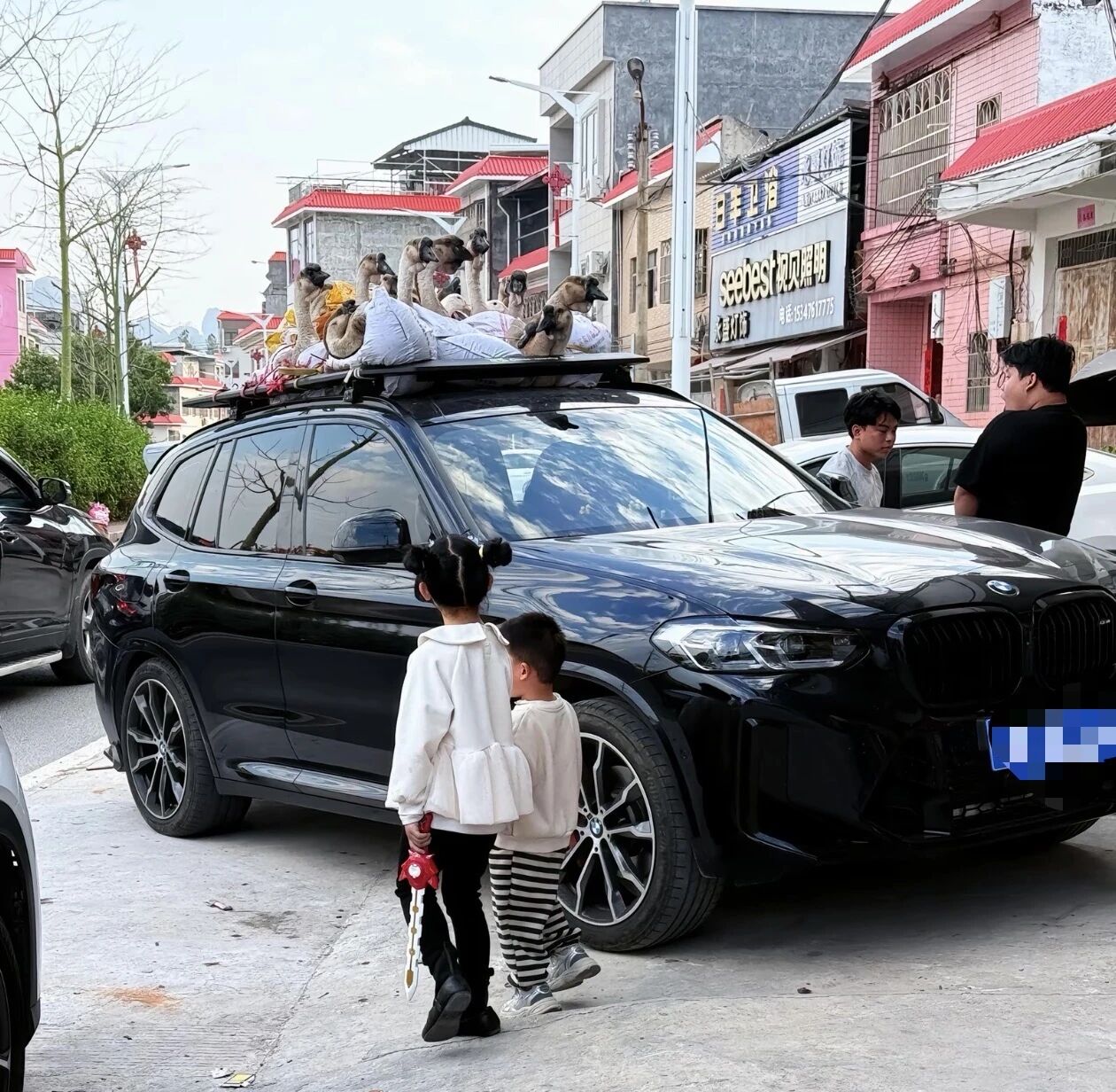 IMG_2016.JPG