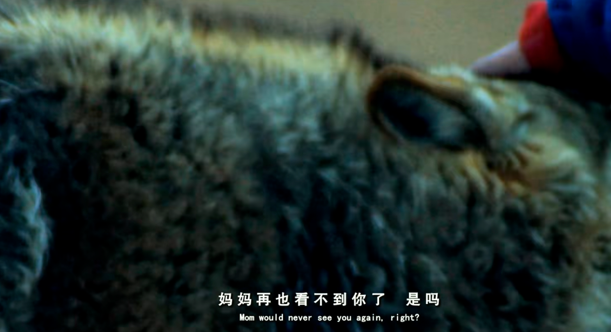 IMG_1509.PNG