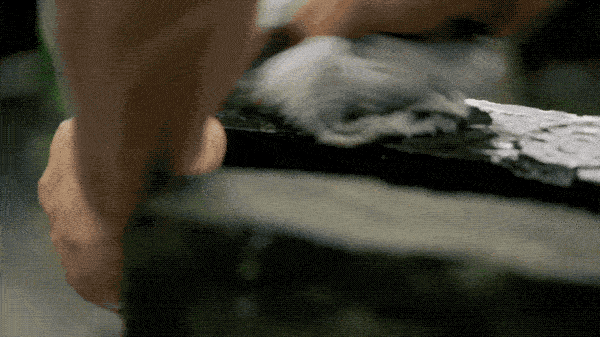 1-ezgif.com-optimize.gif
