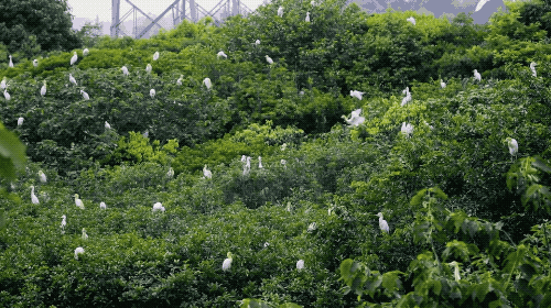 1-ezgif.com-optimize.gif