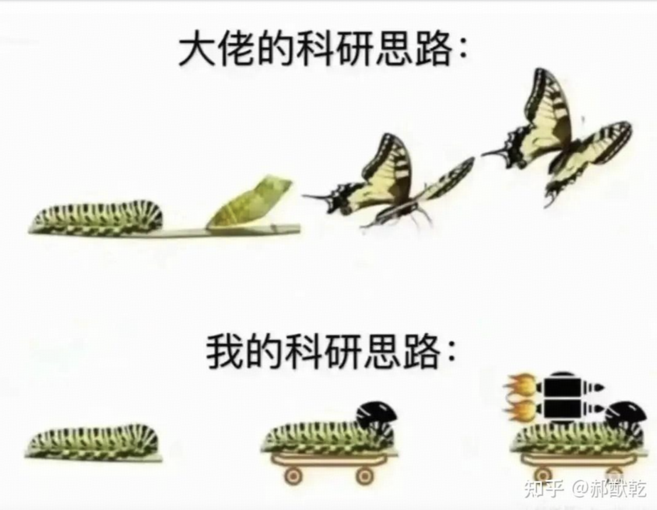 IMG_3091.PNG