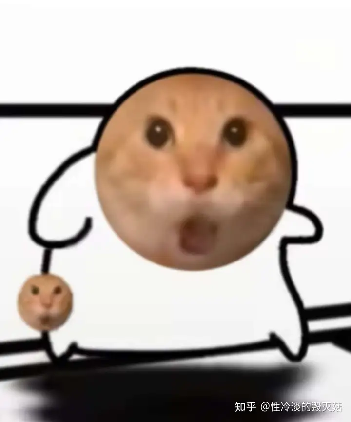 IMG_3295.PNG