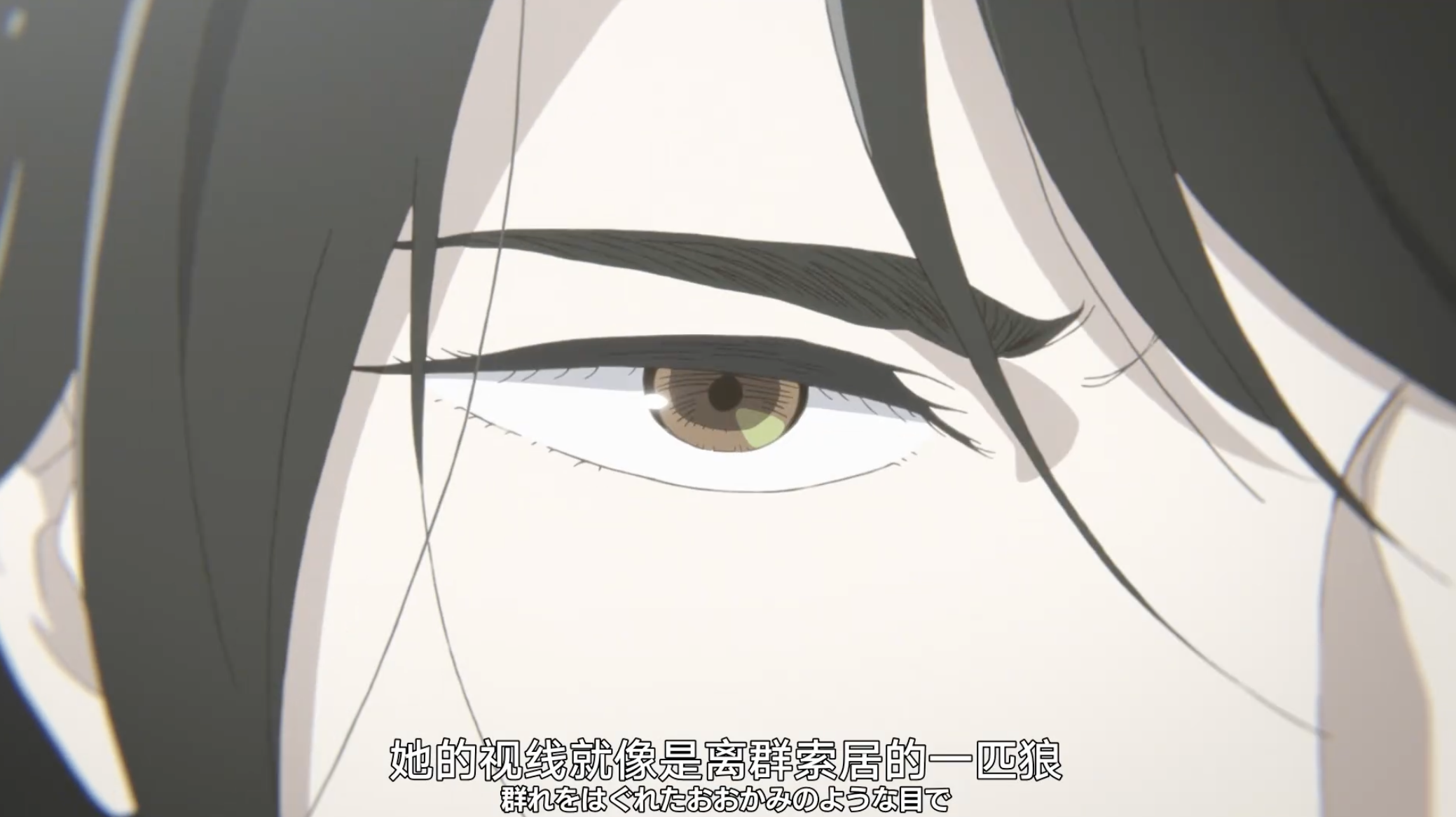 IMG_4435.PNG