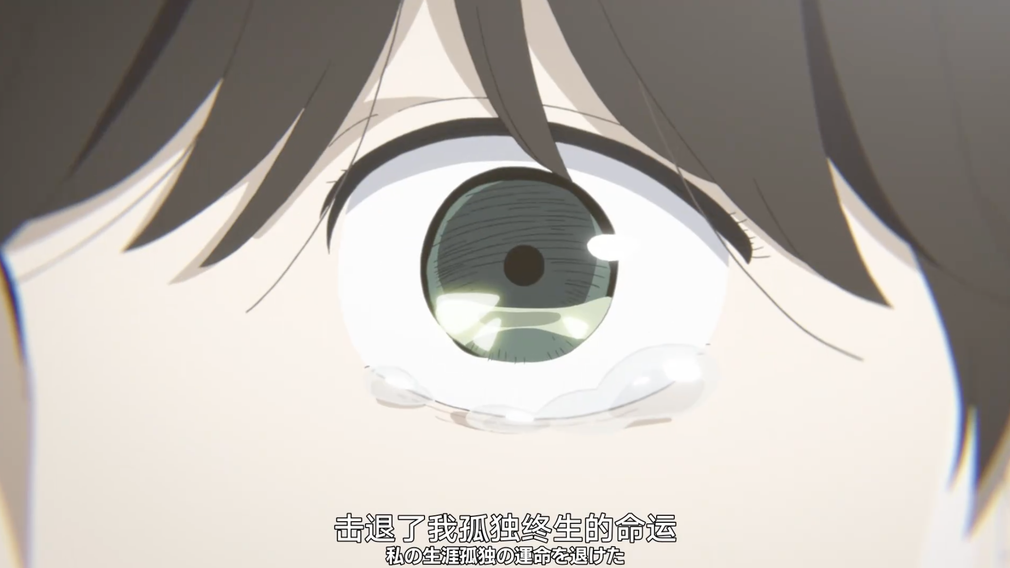 IMG_4436.PNG