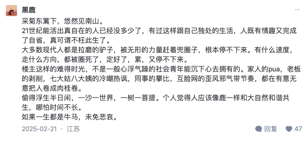 IMG_5684.PNG