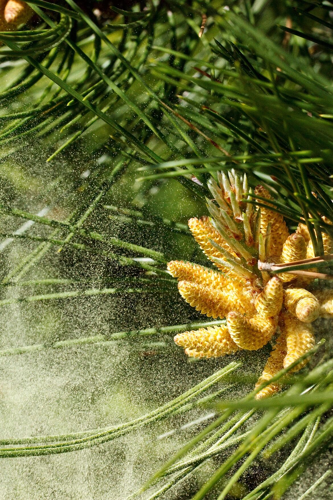 IMG_6017.JPG