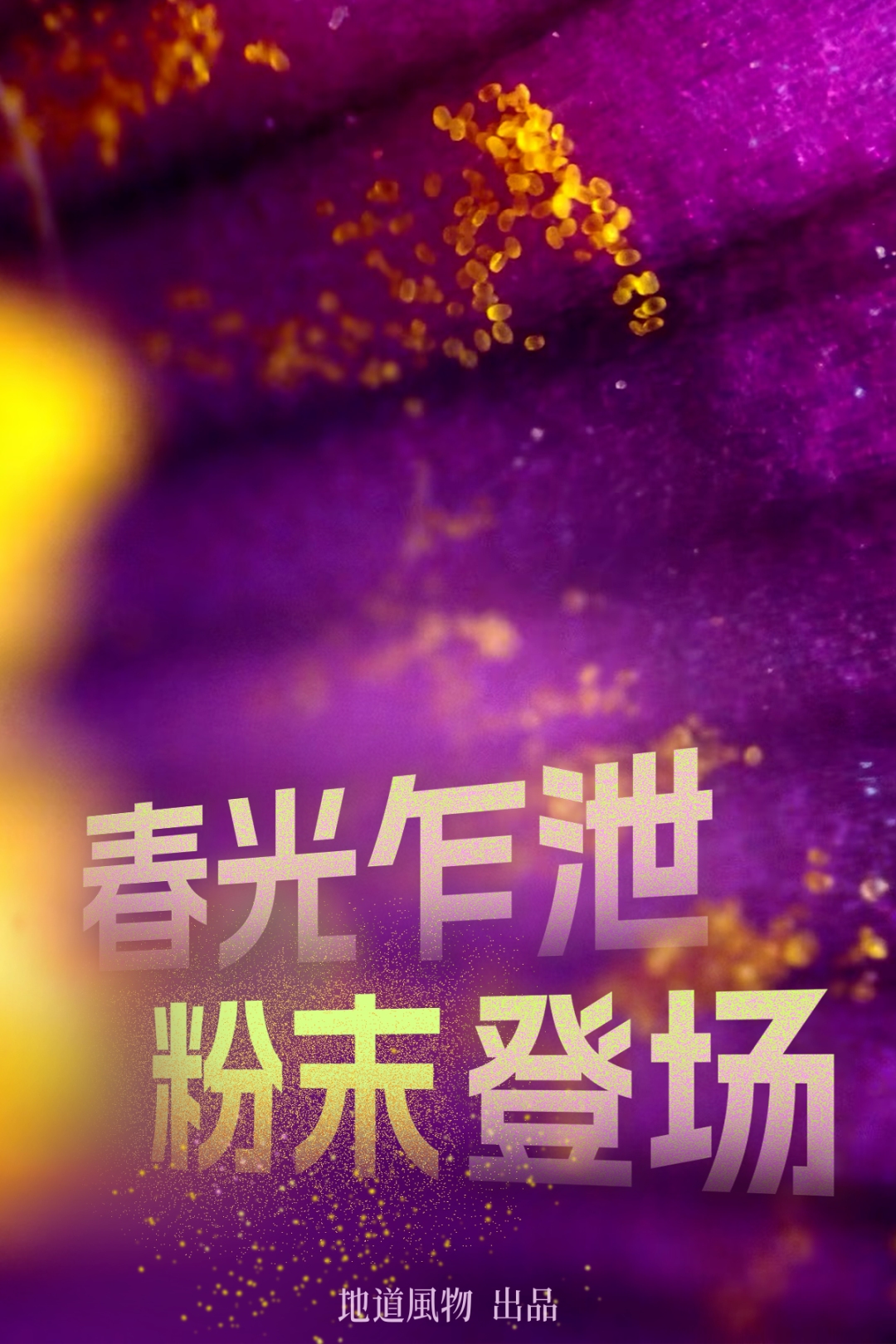 11-compressed.jpg