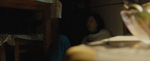 30.gif