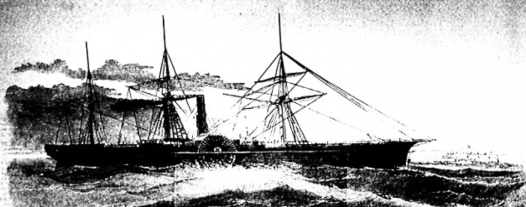 IMG_7824.PNG