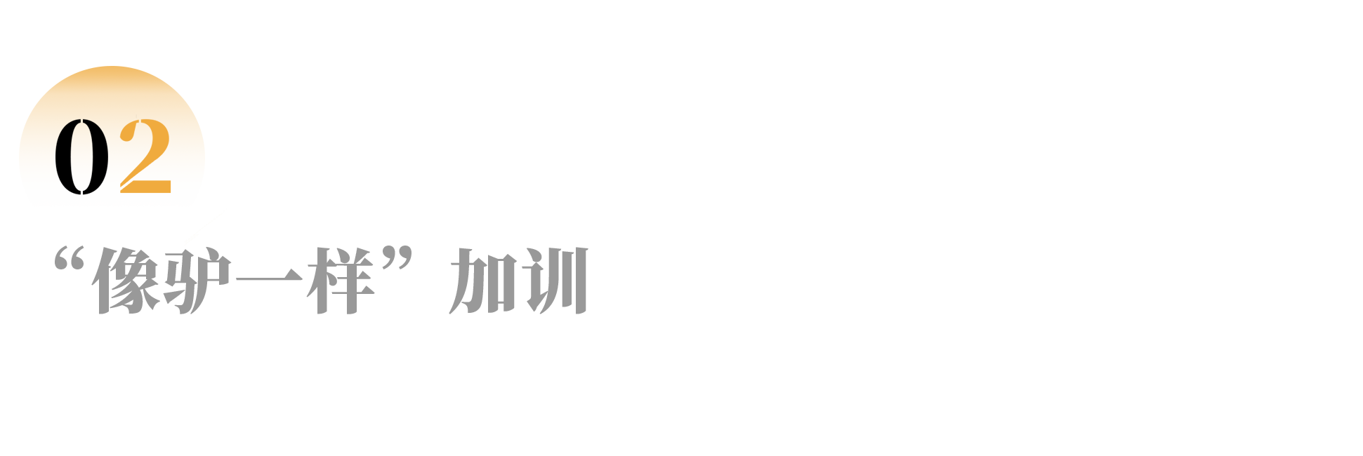 IMG_7857.PNG