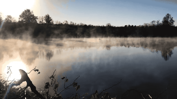 IMG_9877.GIF