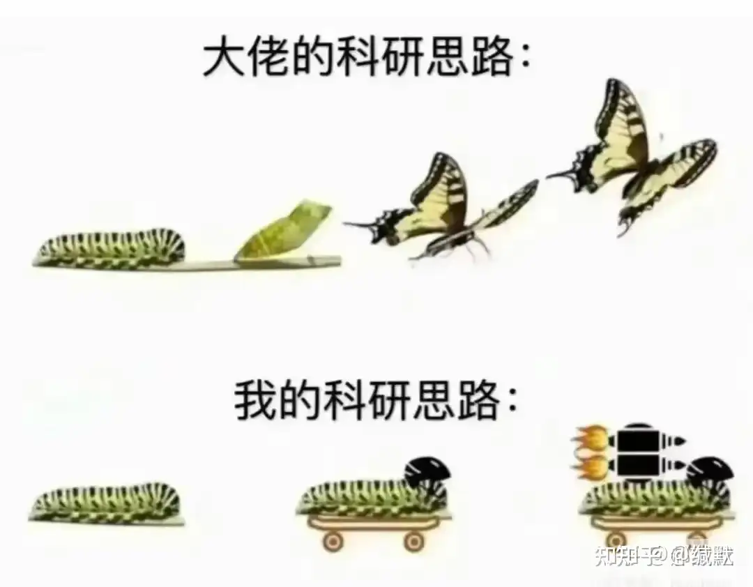 IMG_9332.PNG