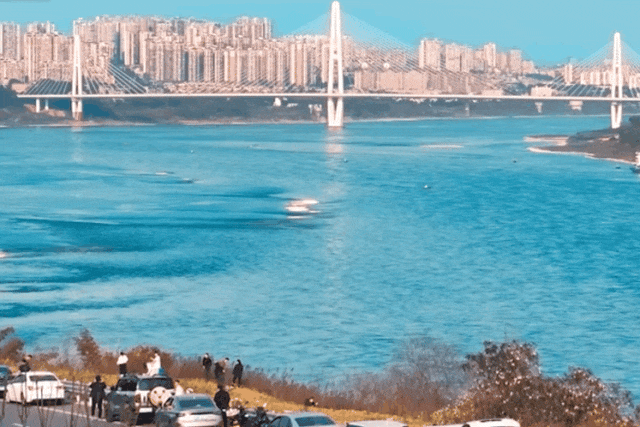 IMG_9349.GIF