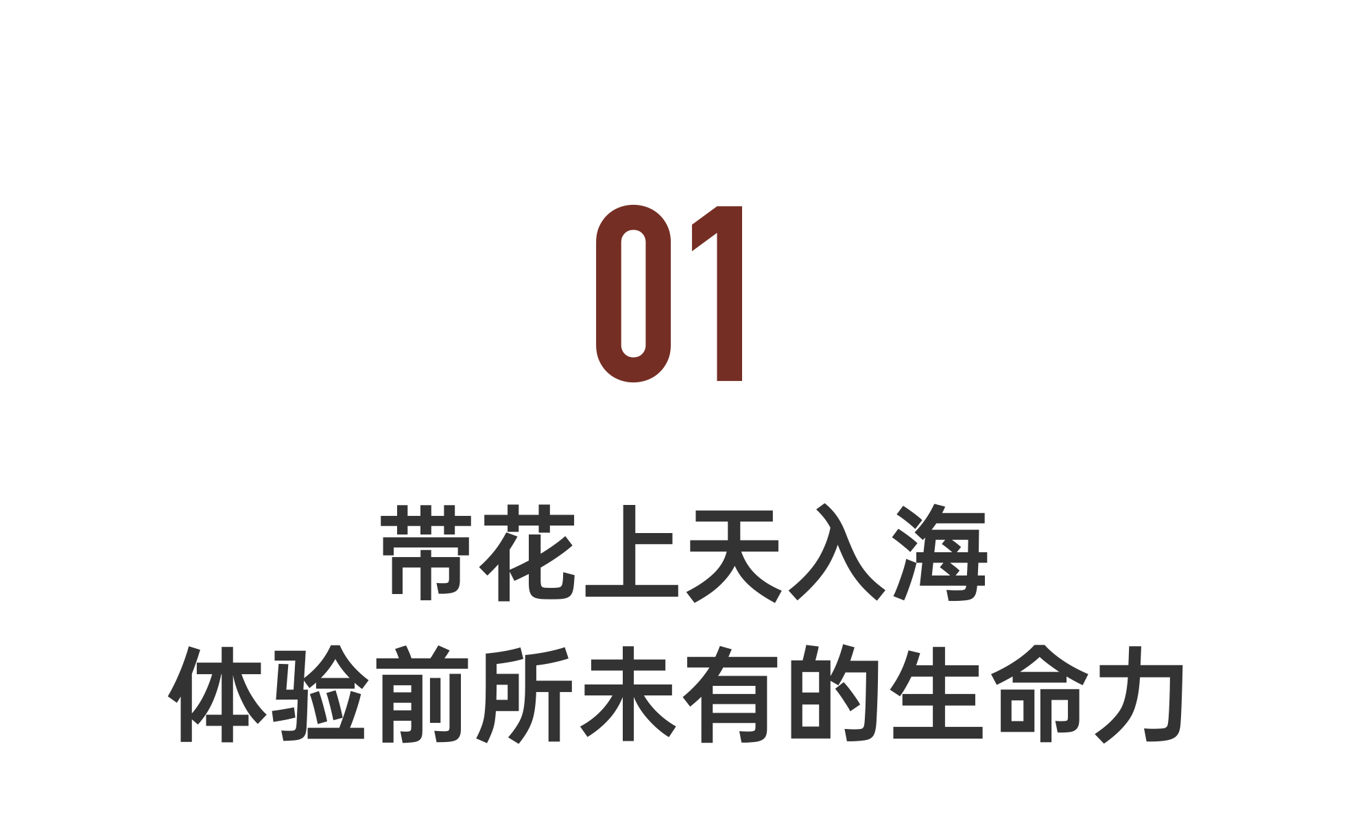 IMG_0538.PNG