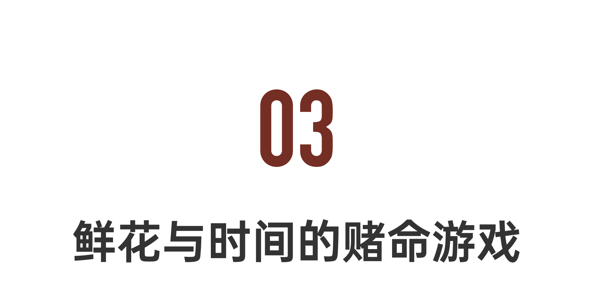 IMG_0558.PNG