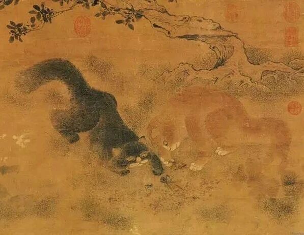 IMG_1335.JPG