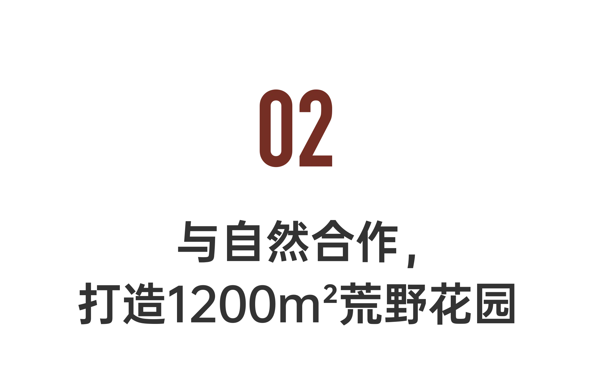 IMG_2290.PNG