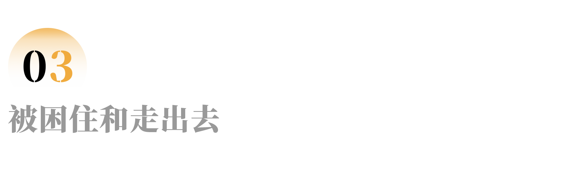 IMG_2448.PNG