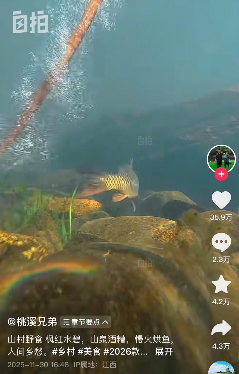 IMG_2674.PNG