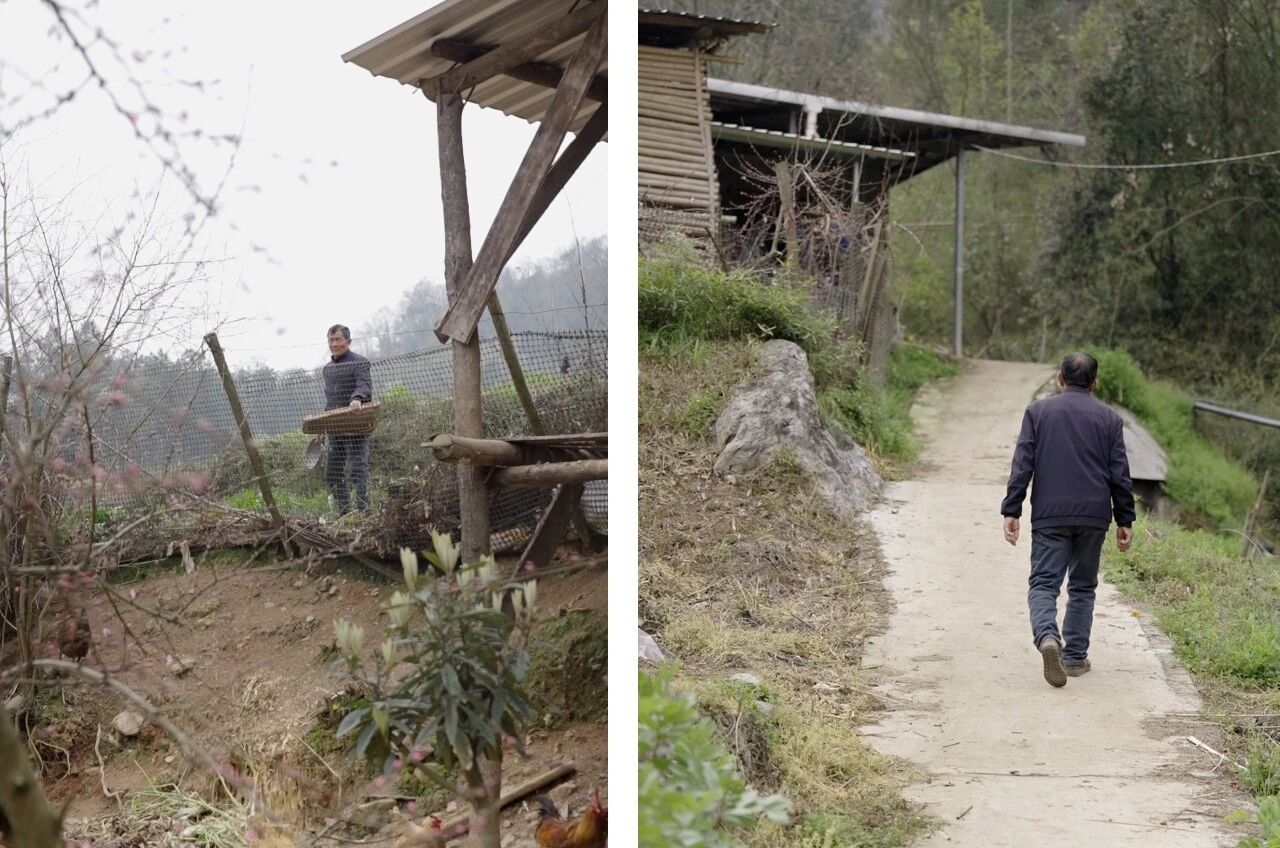 IMG_2971.JPG