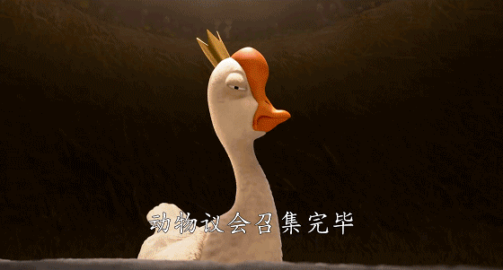 IMG_2979.GIF