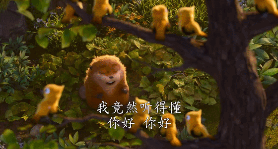 IMG_2988.GIF