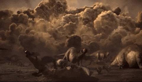 24.gif