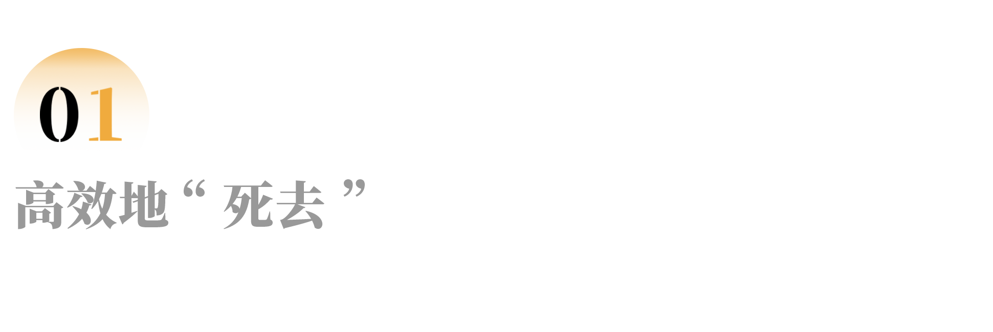IMG_3404.PNG