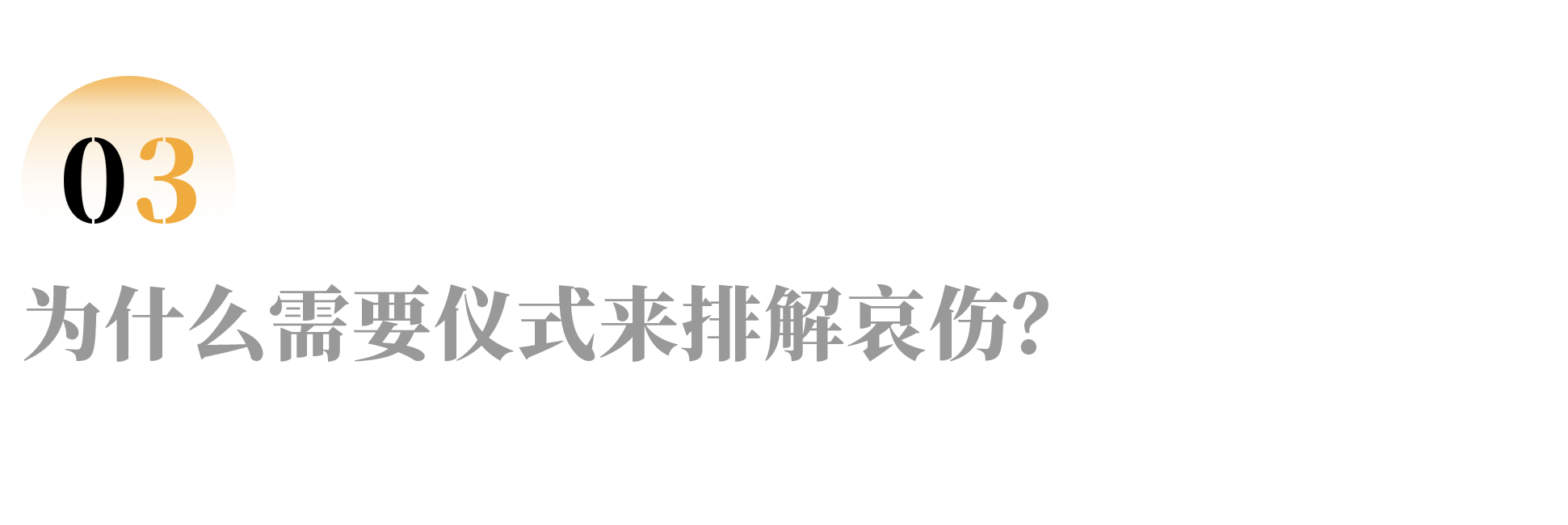IMG_3410.PNG