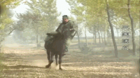 IMG_3538.GIF