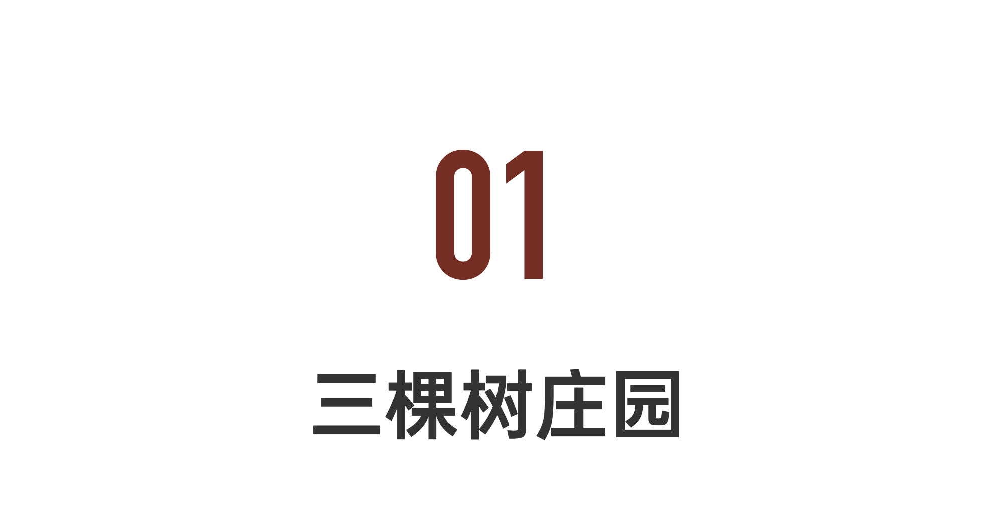 IMG_3924.PNG