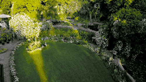 IMG_3938.GIF