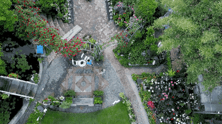 IMG_3941.GIF