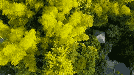 IMG_3949.GIF