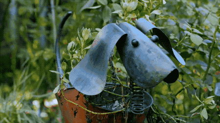 IMG_3969.GIF