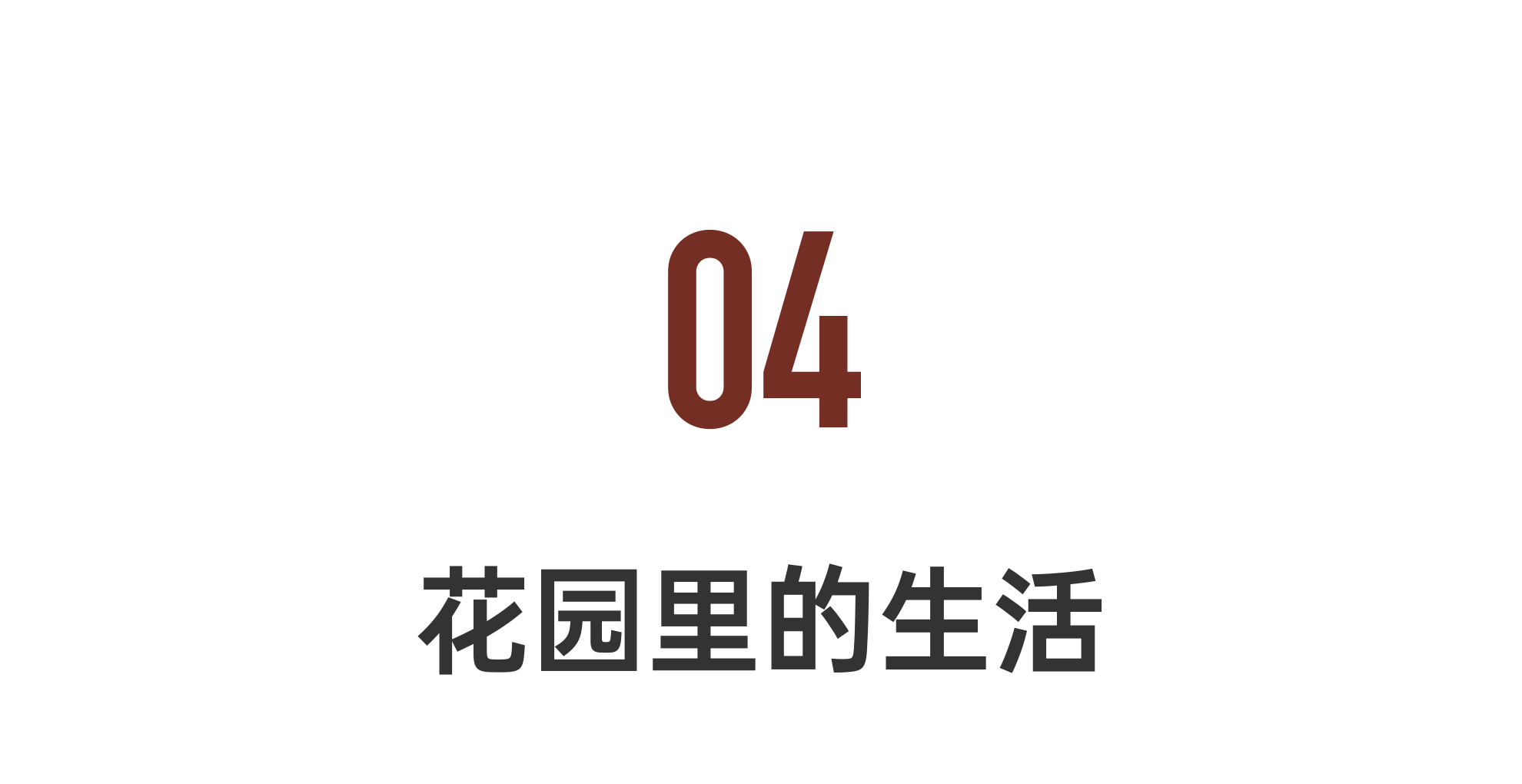 IMG_3972.PNG