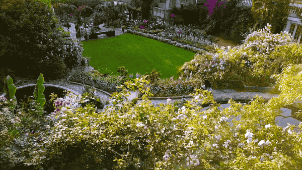 IMG_3973.GIF