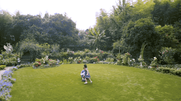 IMG_3977.GIF